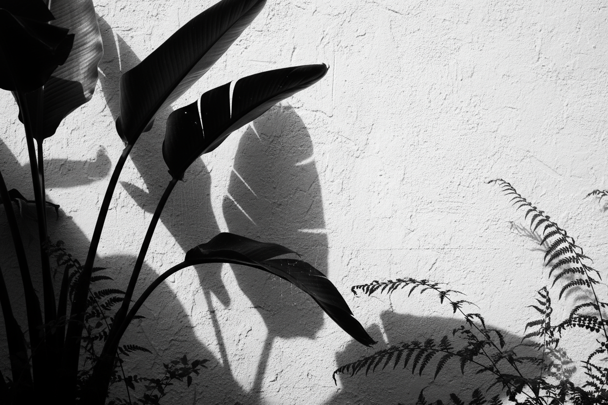 Embracing the Shadow: The Parts of You That Still Need Love